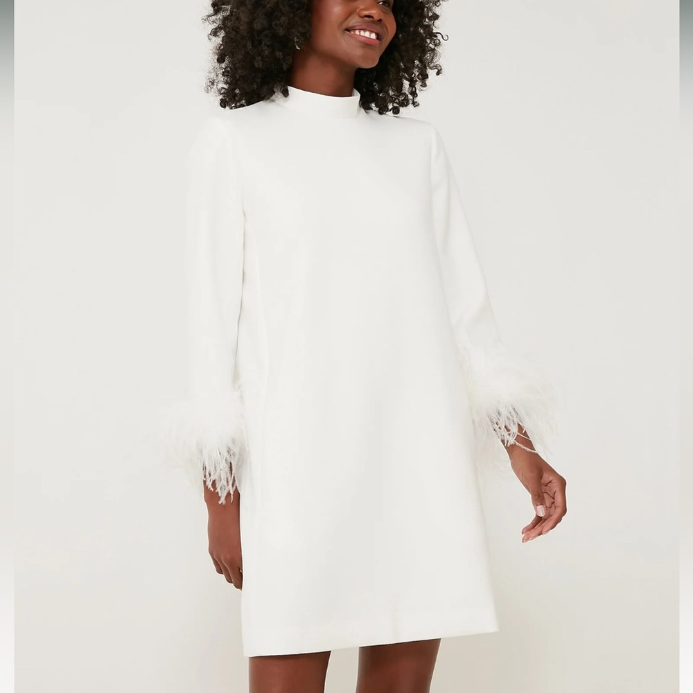 TUCKERNUCK White Feather Mod Ellie Dress NWT - retails for $288